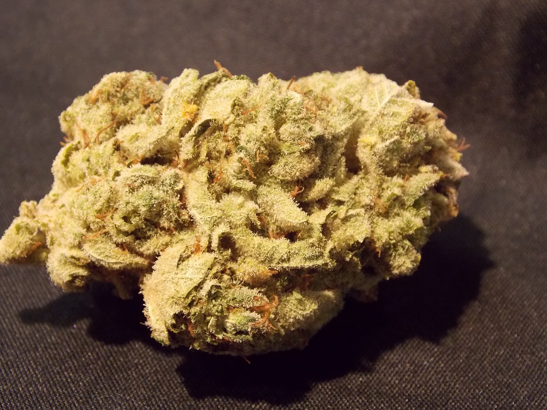 gorilla glue weed strain indica