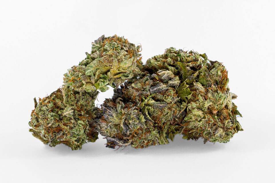 strain-of-the-week-granddaddy-purps-gdp-cannafo-news-marijuana