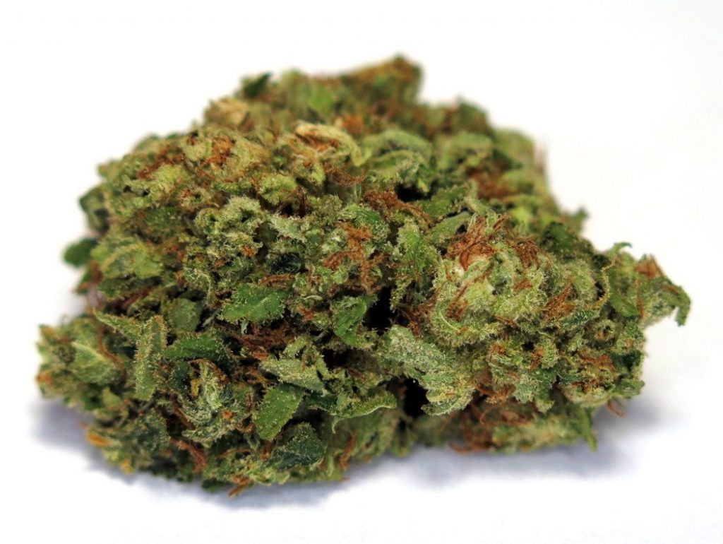 Strain of the Month: Acapulco Gold.