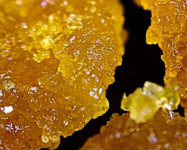 Live Resin