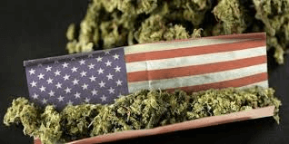 American Cannabis