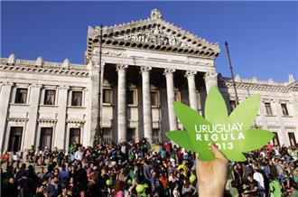 Uruguay Legal Cannabis