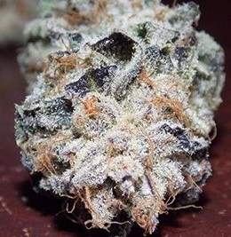 Double Barrel OG Strain Information | Cannafo | Marijuana | Cannabis ...