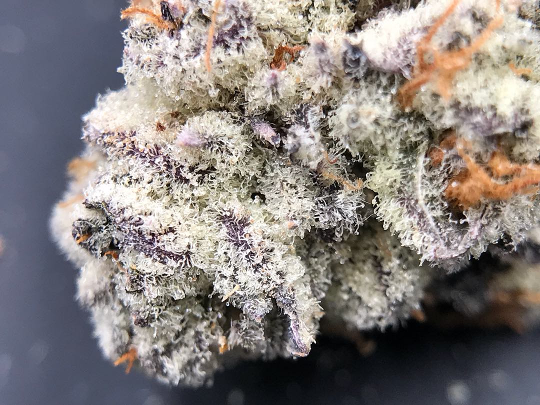 This is one strain that rings true to its name, from its grape purple look ...